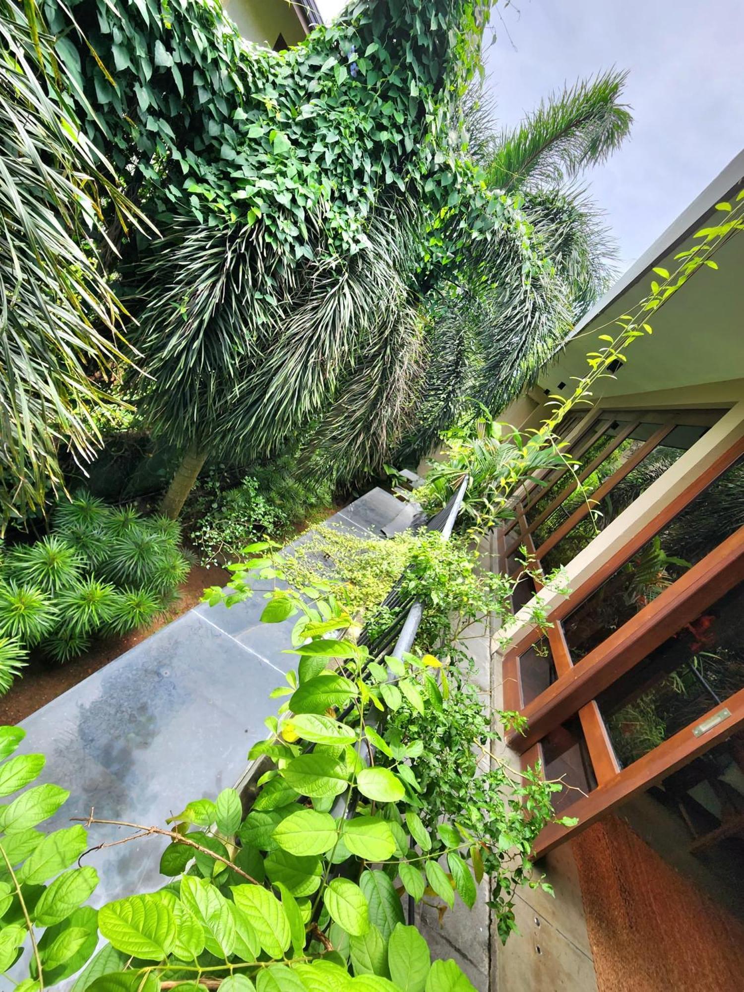 Cozy Luxury Room With Balcony View ! Rajagiriya Bagian luar foto